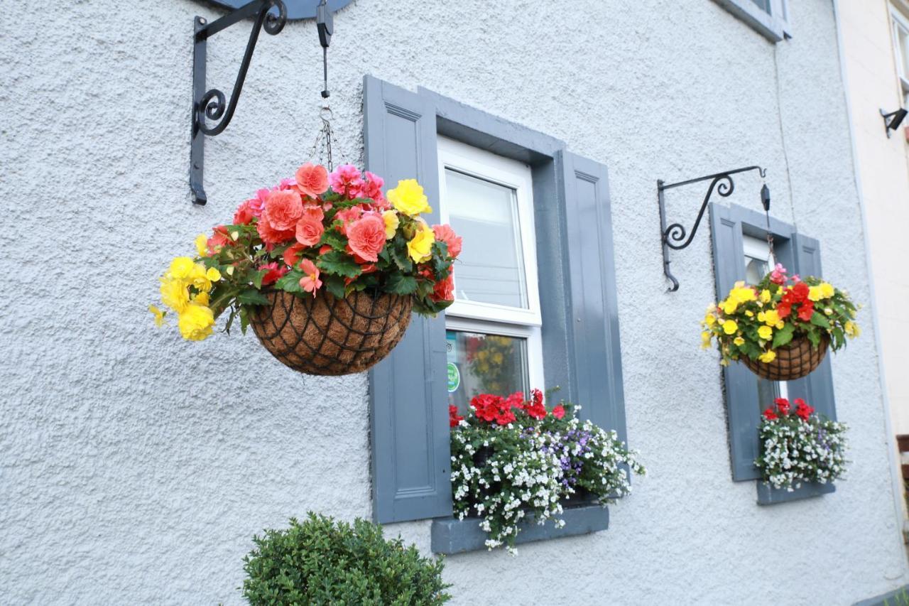 Madelines Accommodation Tinahely Zewnętrze zdjęcie